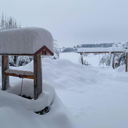 Trollenhof Im Allgaeu - Ferienwohnungen Saeuling Ruckholz Zewnętrze zdjęcie