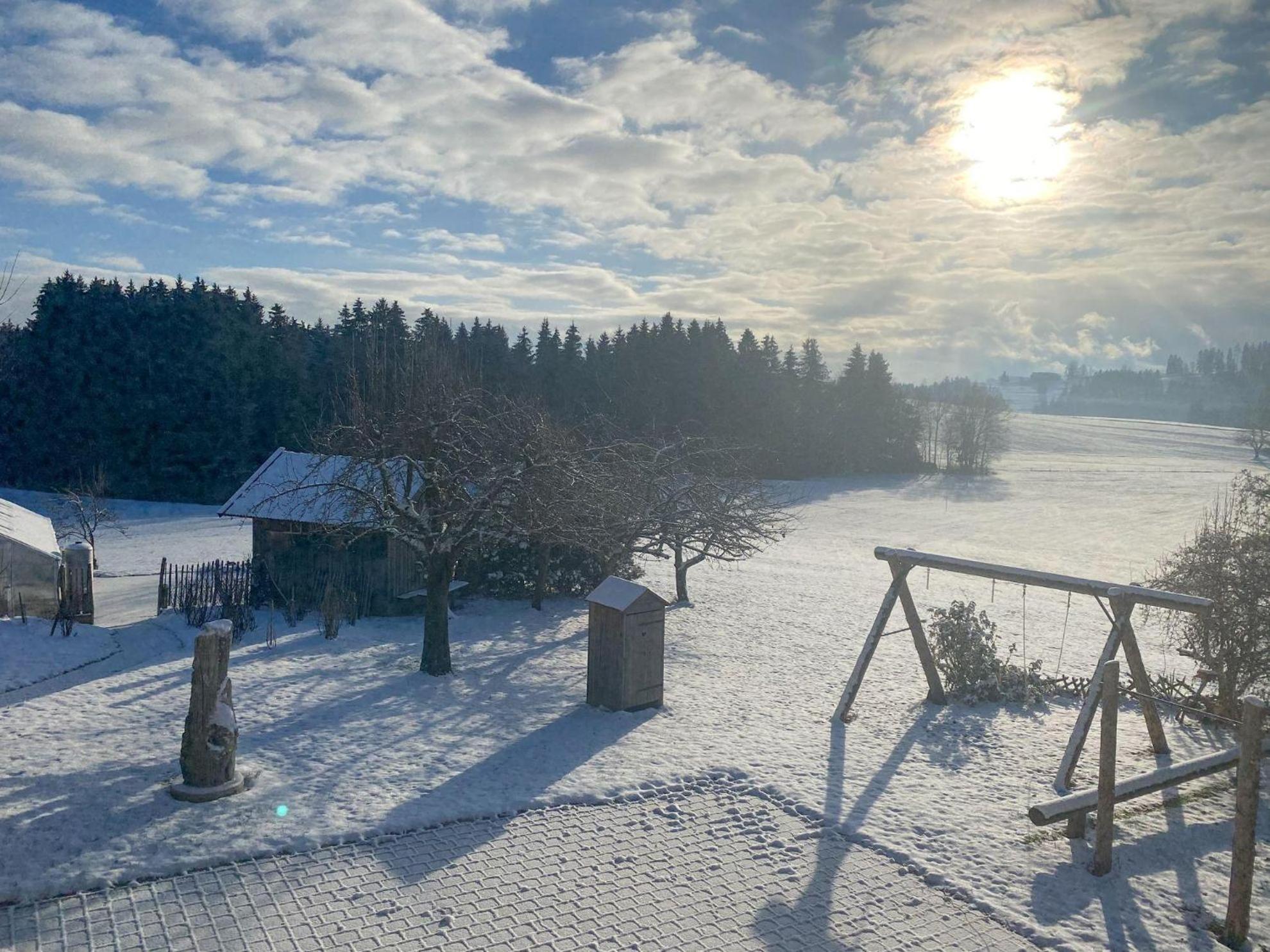 Trollenhof Im Allgaeu - Ferienwohnungen Saeuling Ruckholz Zewnętrze zdjęcie