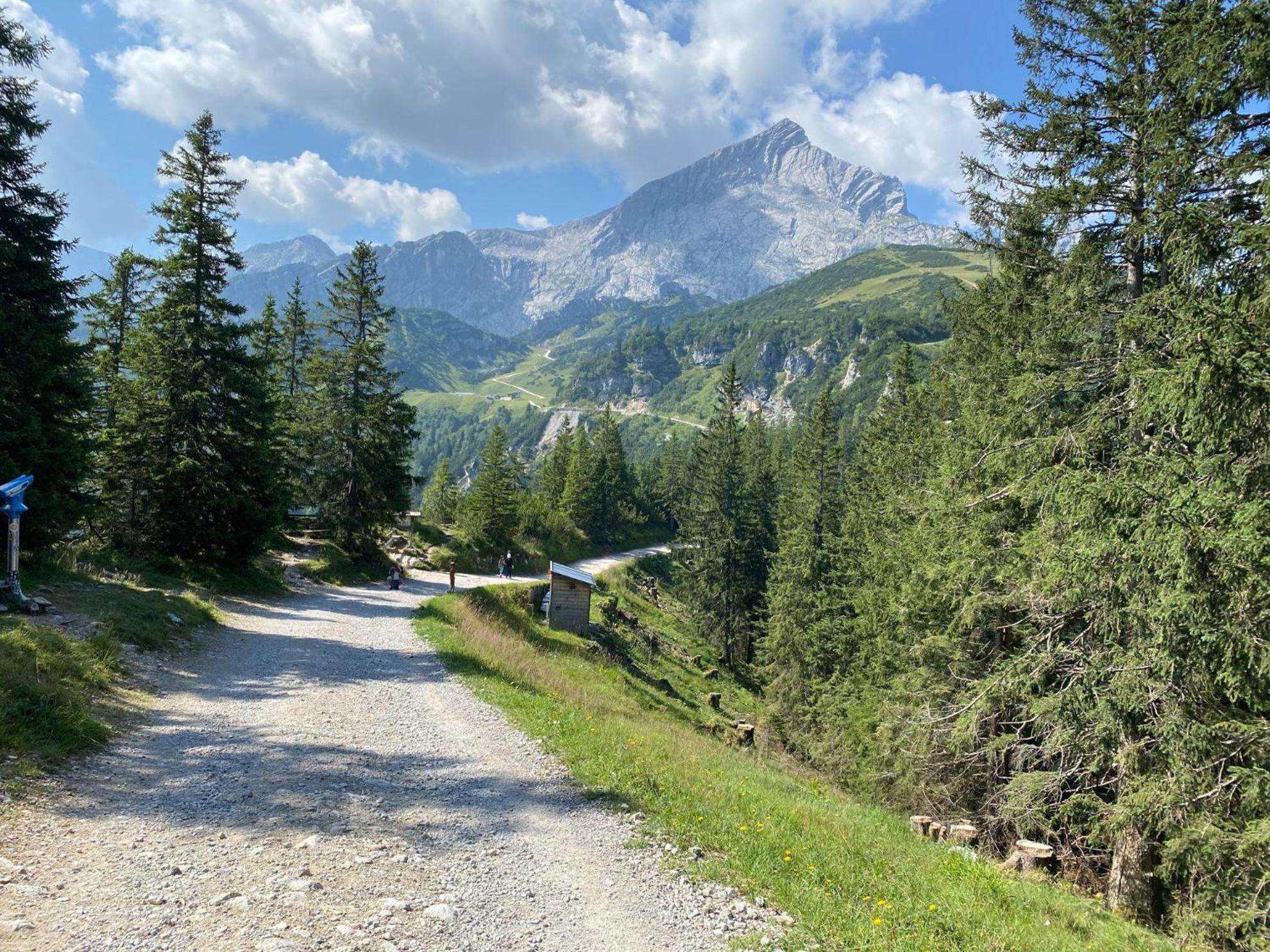 Trollenhof Im Allgaeu - Ferienwohnungen Saeuling Ruckholz Zewnętrze zdjęcie