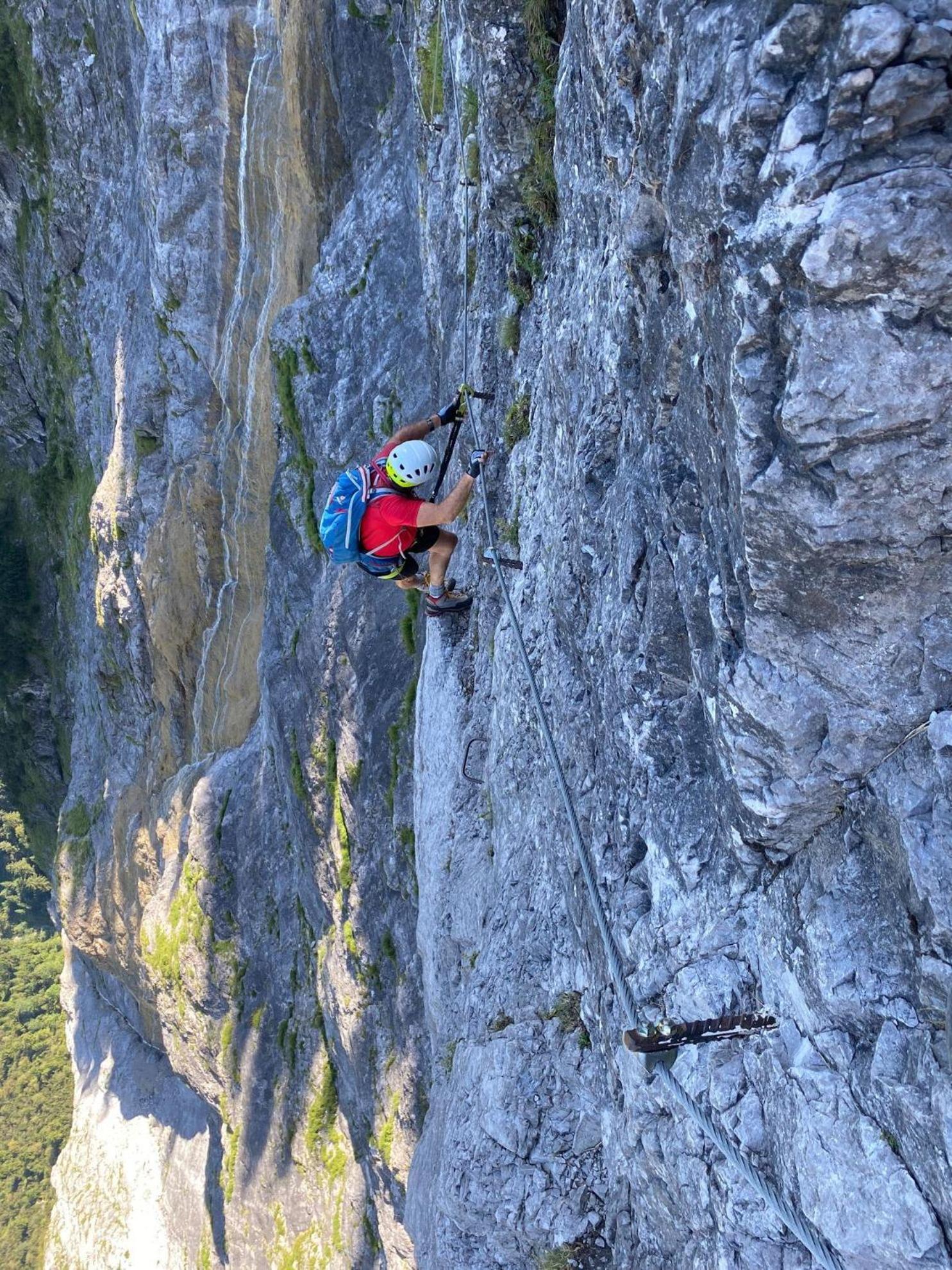 Trollenhof Im Allgaeu - Ferienwohnungen Saeuling Ruckholz Zewnętrze zdjęcie