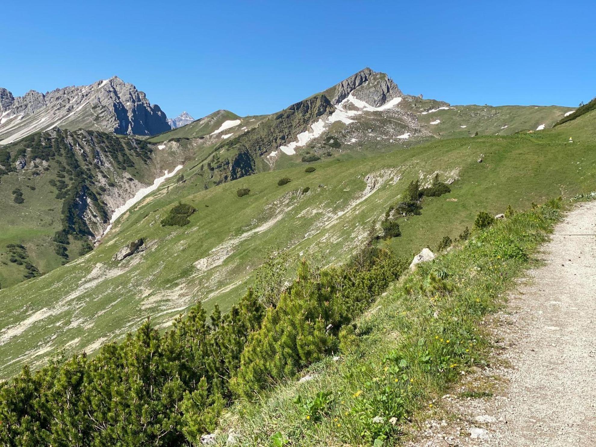 Trollenhof Im Allgaeu - Ferienwohnungen Saeuling Ruckholz Zewnętrze zdjęcie